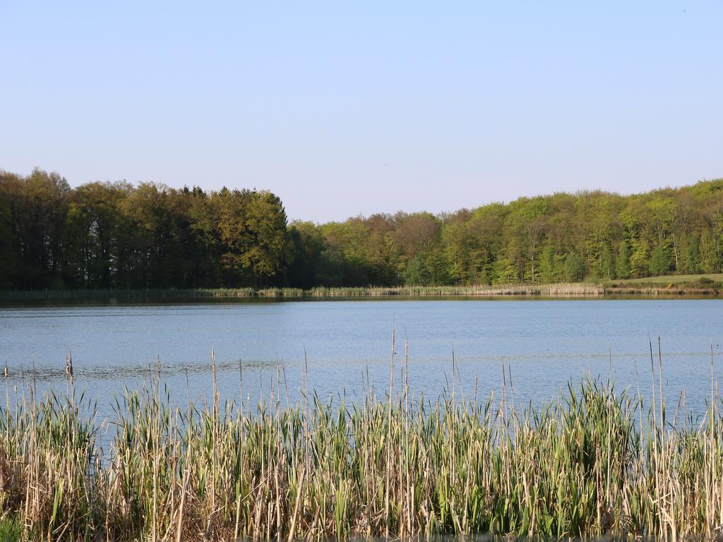 Haus Am Wanderweg Appartement Niederdürenbach Buitenkant foto